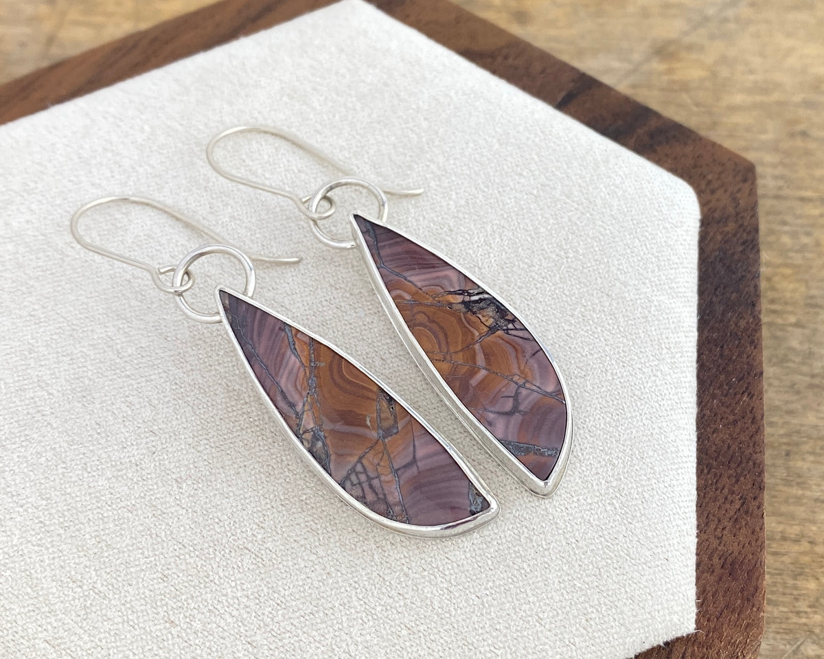 Petrified Wood Earrings — Silver